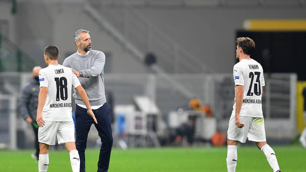 Hofmann bricht Lanze für Rose