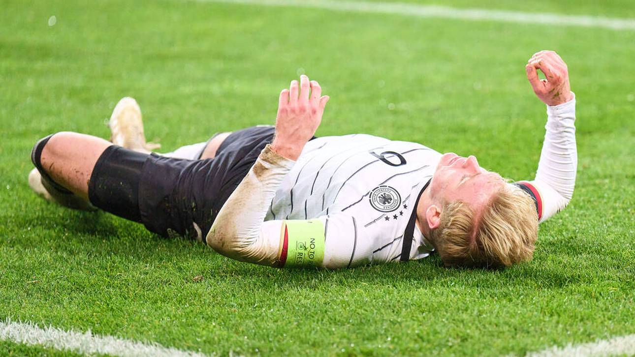 Burkardt und sein Seuchenjahr