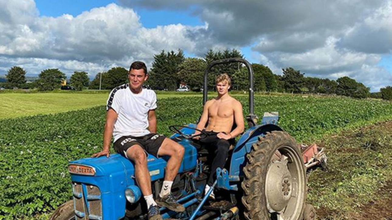 BVB reagiert auf Haaland-Post