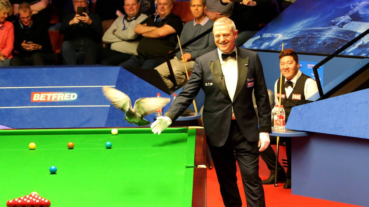 Tierischer Flitzer bei Snooker-WM