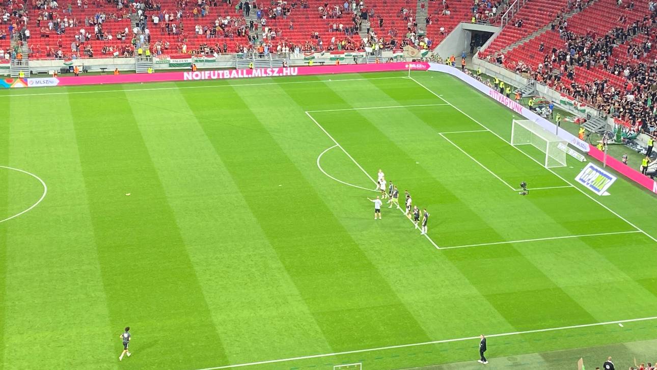 Leroy Sané (links unten) betrat als Letzter den Rasen