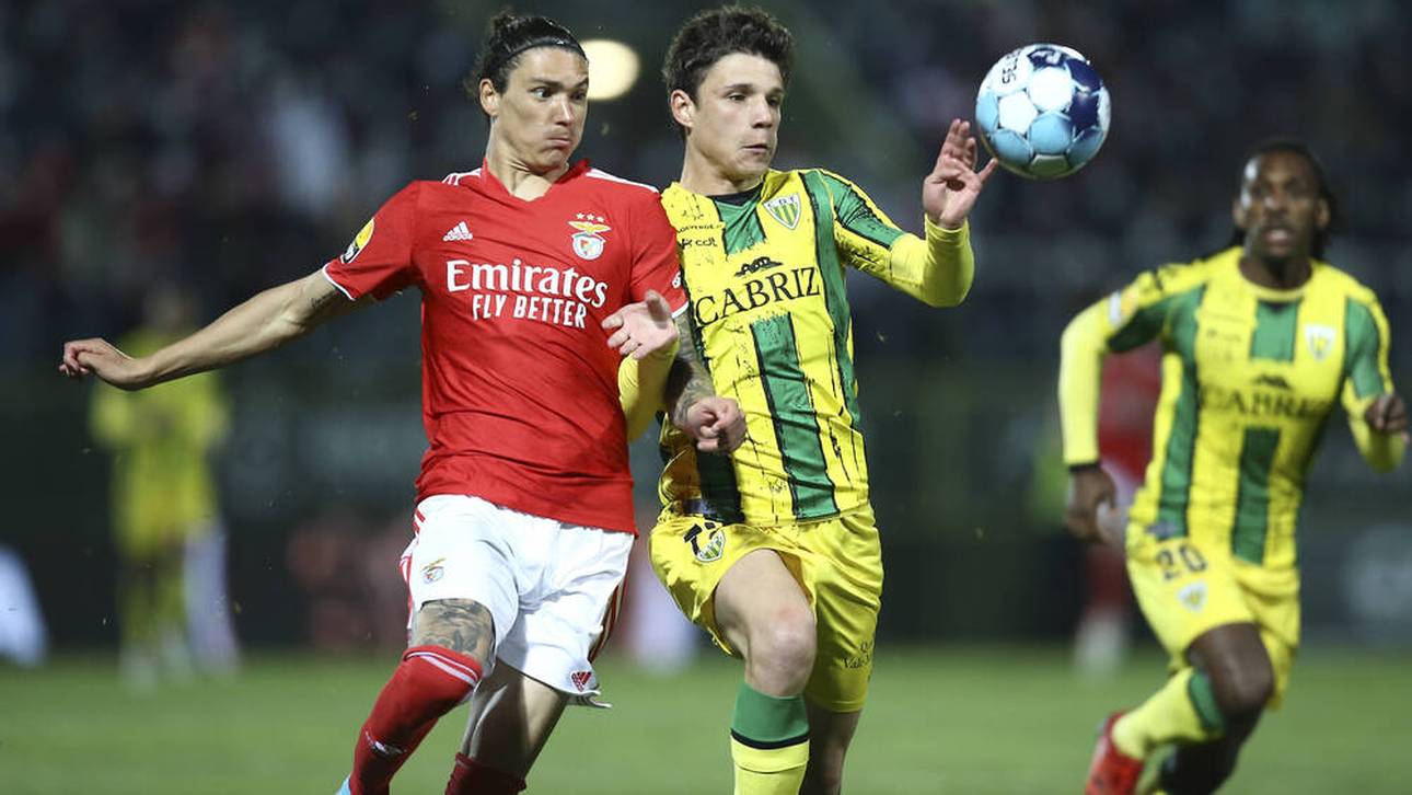 Abwehr-Juwel für Hoffenheim