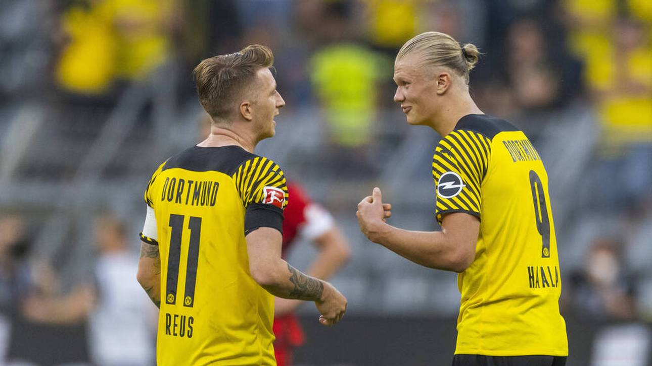 Reus witzelt über Haaland