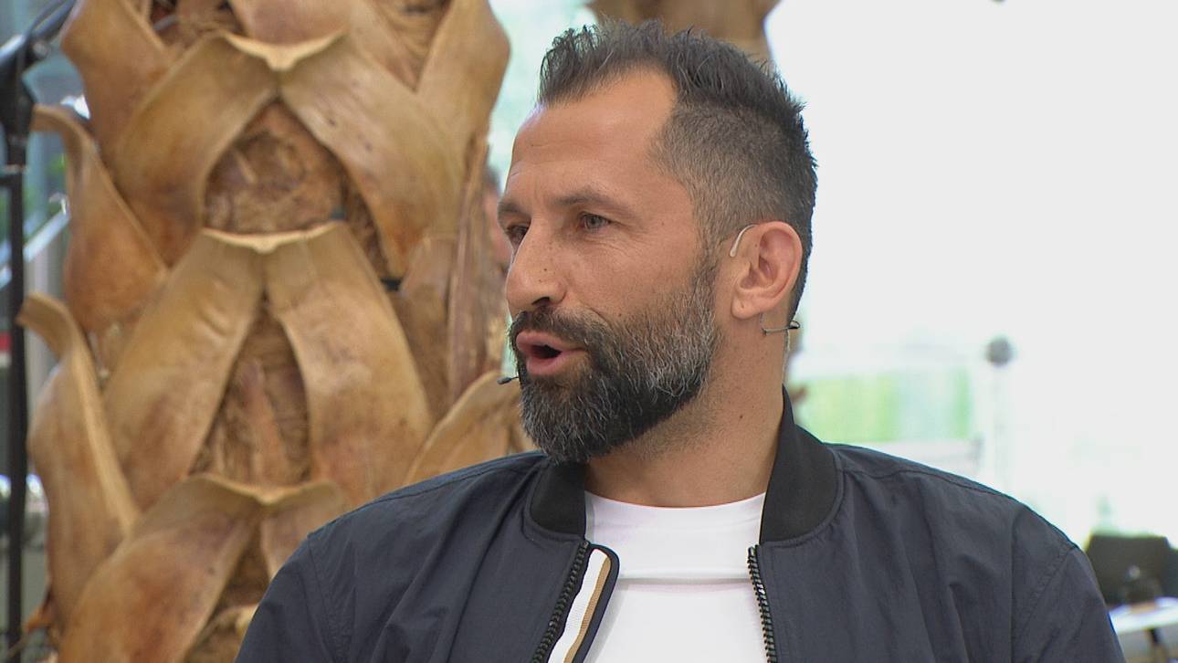 Salihamidzic: So sah Lewy-Angebot aus