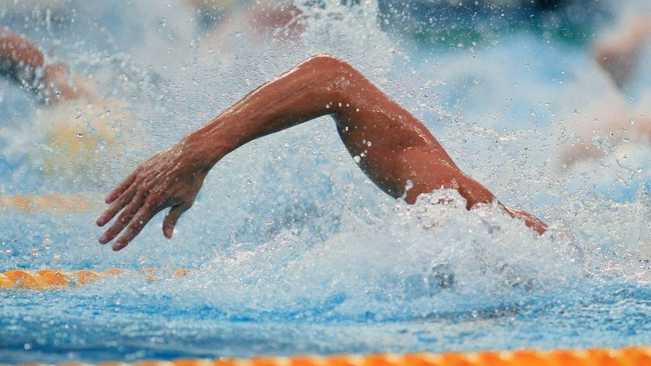 Neuer DSV-Präsident: Einziger Kandidat Troll gewählt