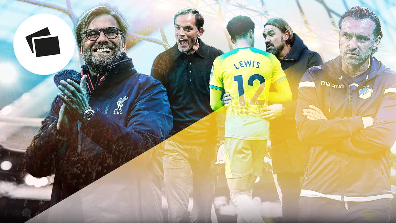 Die Bilanz der deutschen Trainer