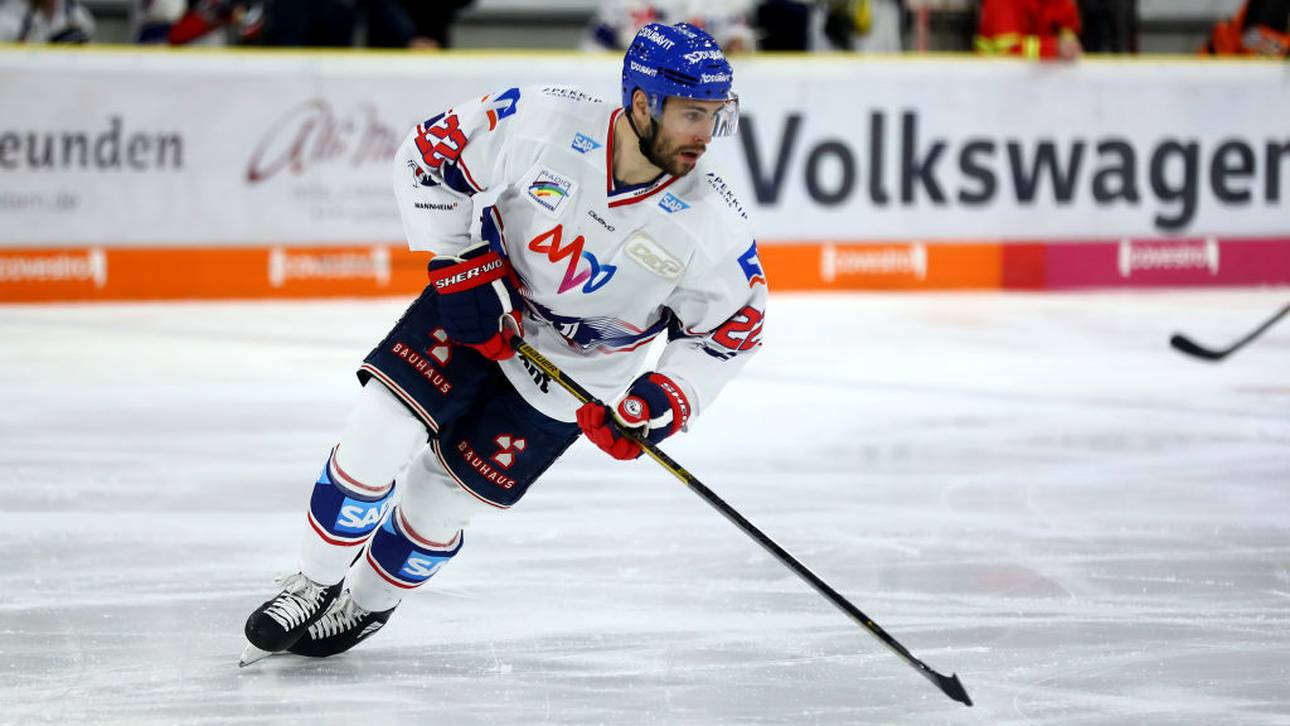 Adler verlängern mit Quintett