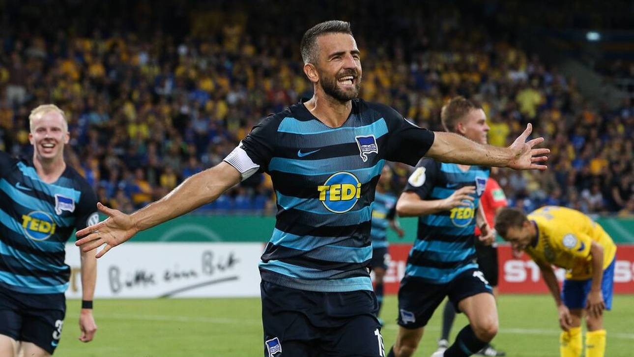 Warum Ibisevic zu Schalke passt