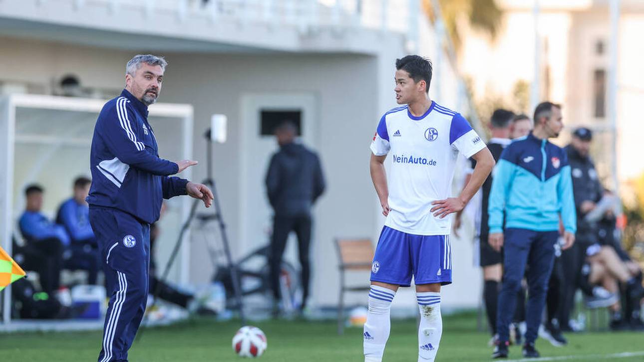 Schalke verpasst Sieg gegen Zürich