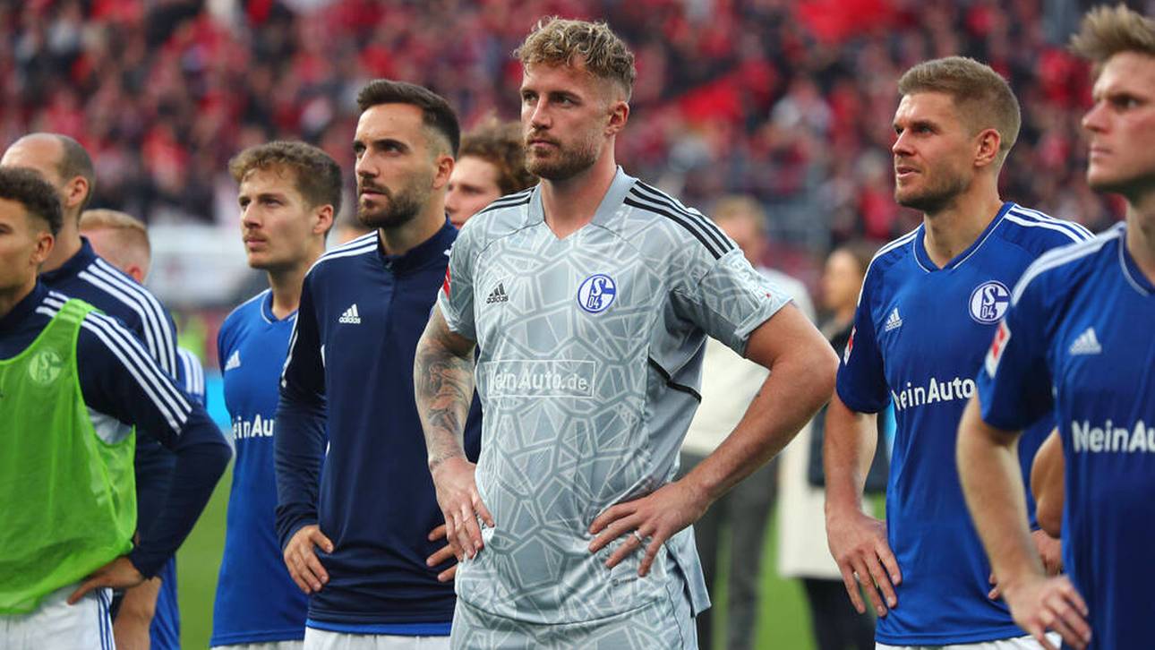 Absurder Kuchen-Zoff auf Schalke?