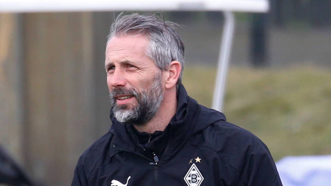 Das soll Rose beim BVB verdienen