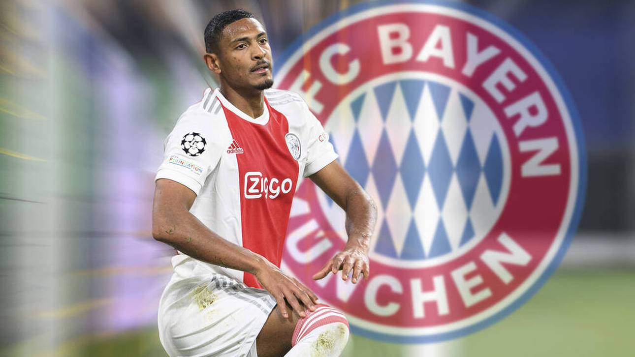 Hallers Wiedergeburt