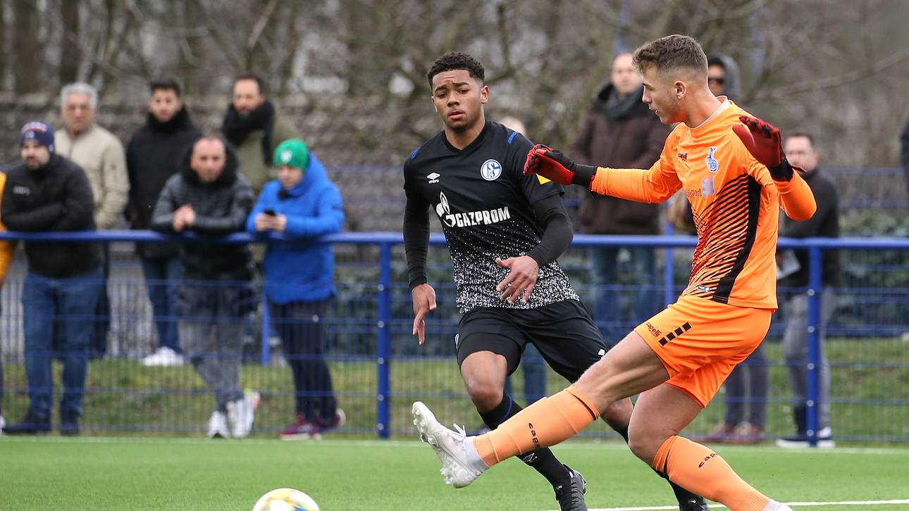 Brooklyn Ezeh (l.) gehört zu den größten Talenten des FC Schalke 04