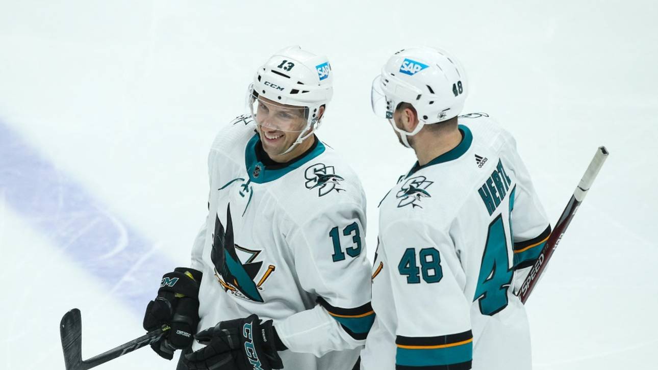 Eisbären treffen auf NHL-Team