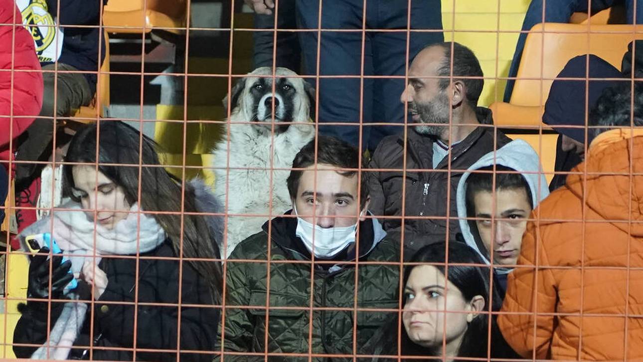 Der heimliche Star beim Deutschland-Spiel