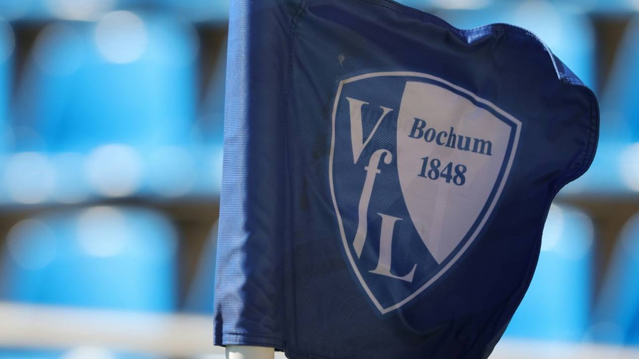 VfL erzielt positives Jahresergebnis