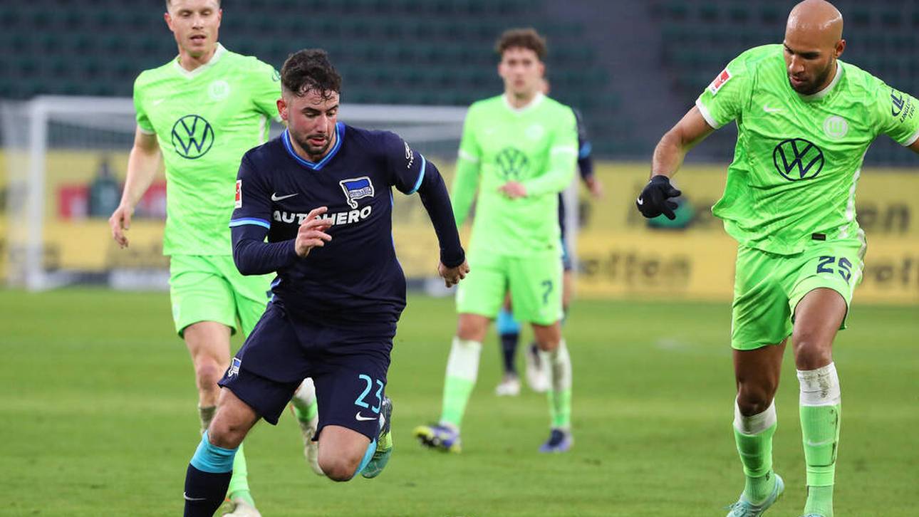 Wölfe stoppen freien Fall