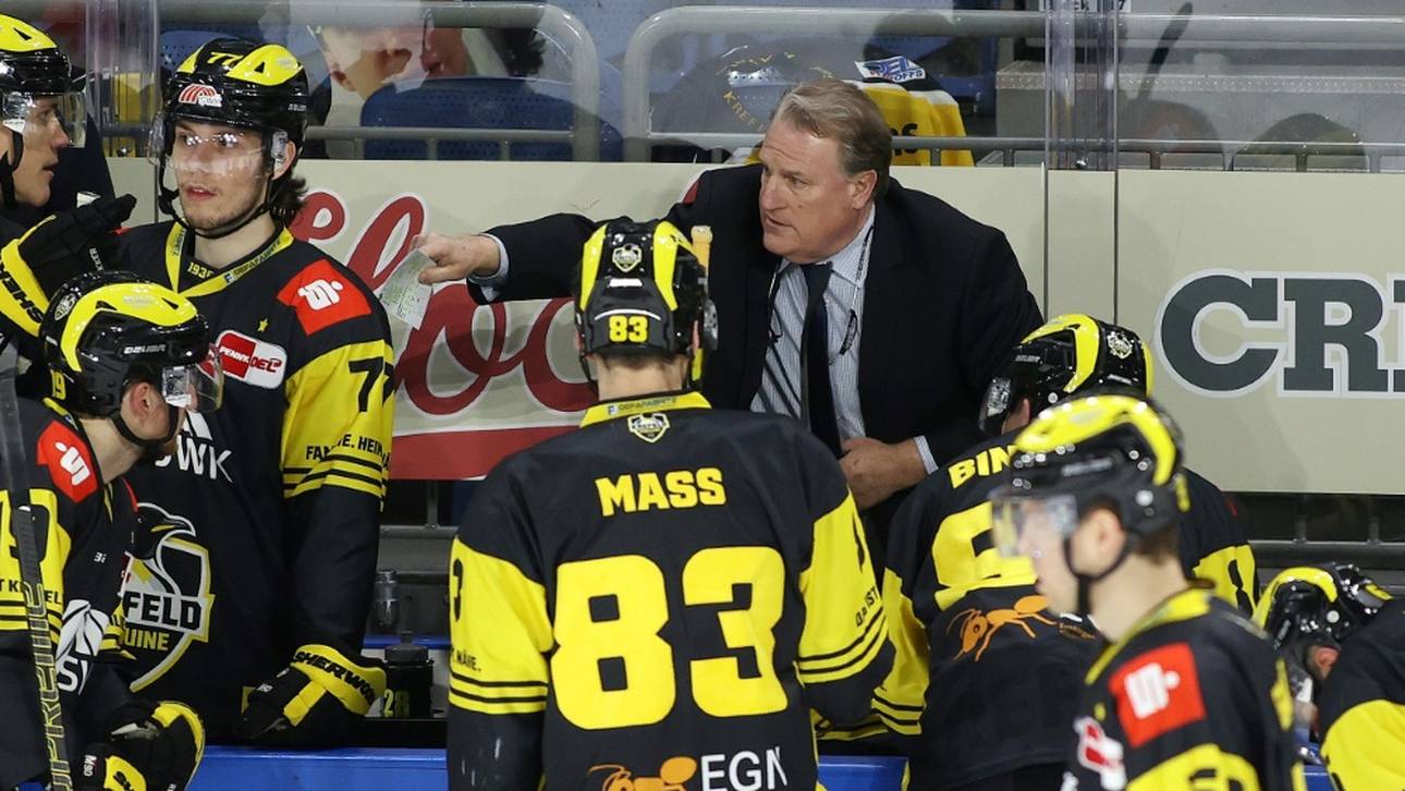 Pinguine holen Verstärkung