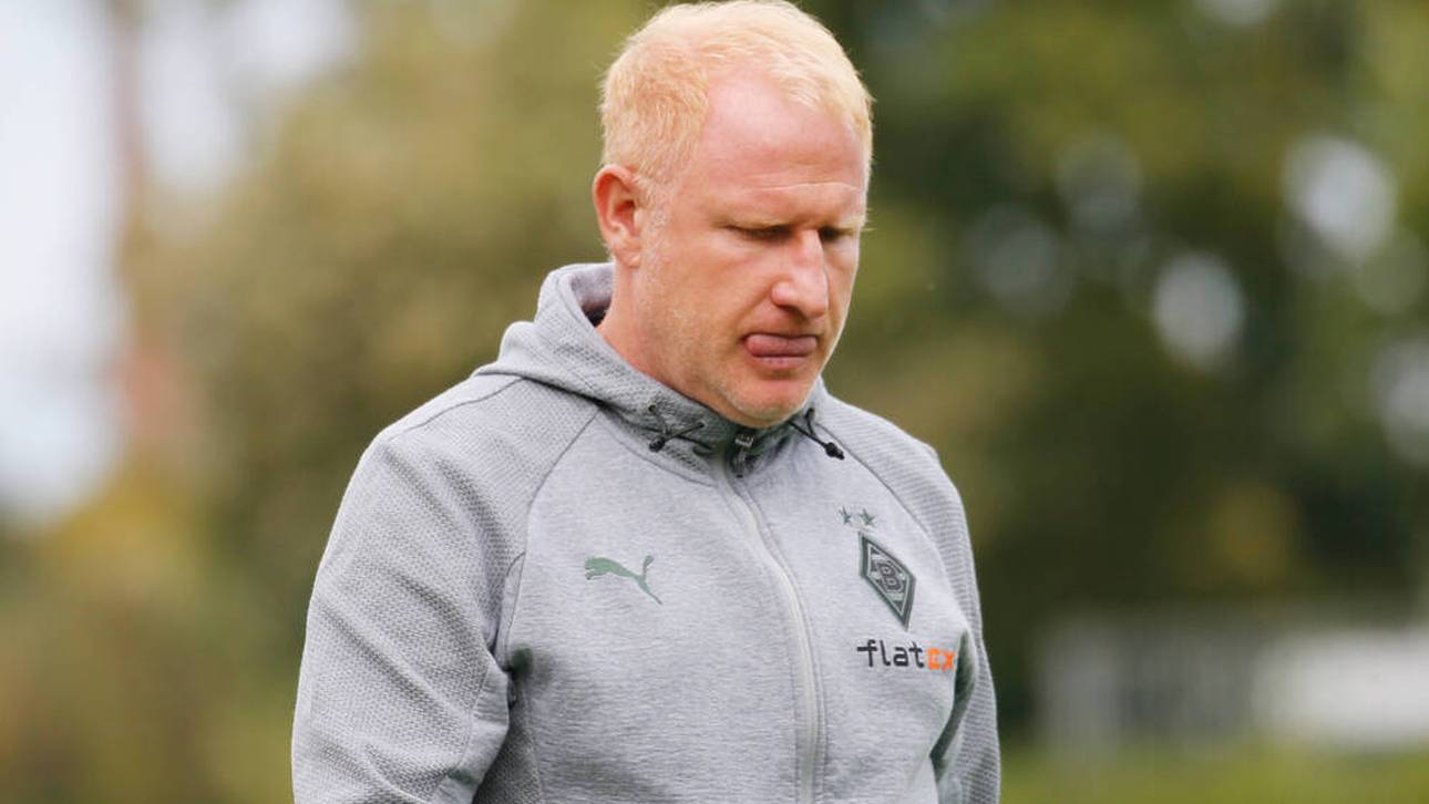 Vogel-Strafe deutlich erhöht