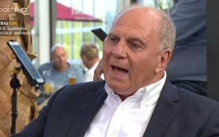 Fussball / Bundesliga