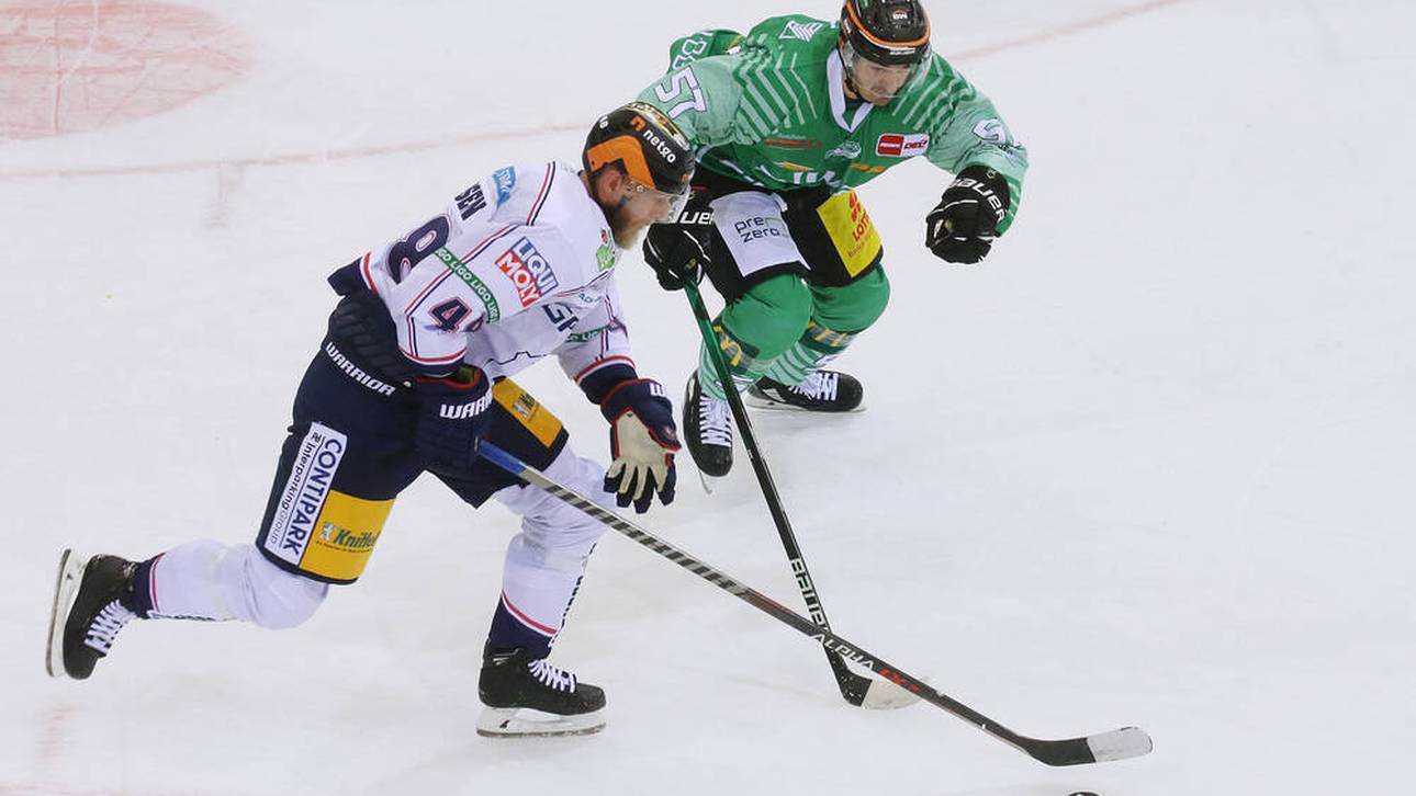 Kurioser Rekord für Eisbären