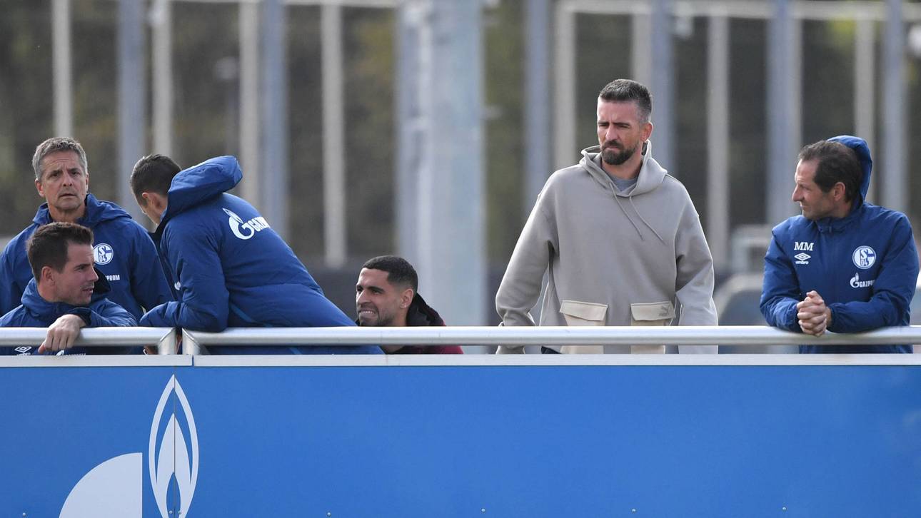 Darum verzichtet Ibisević auf Gehalt