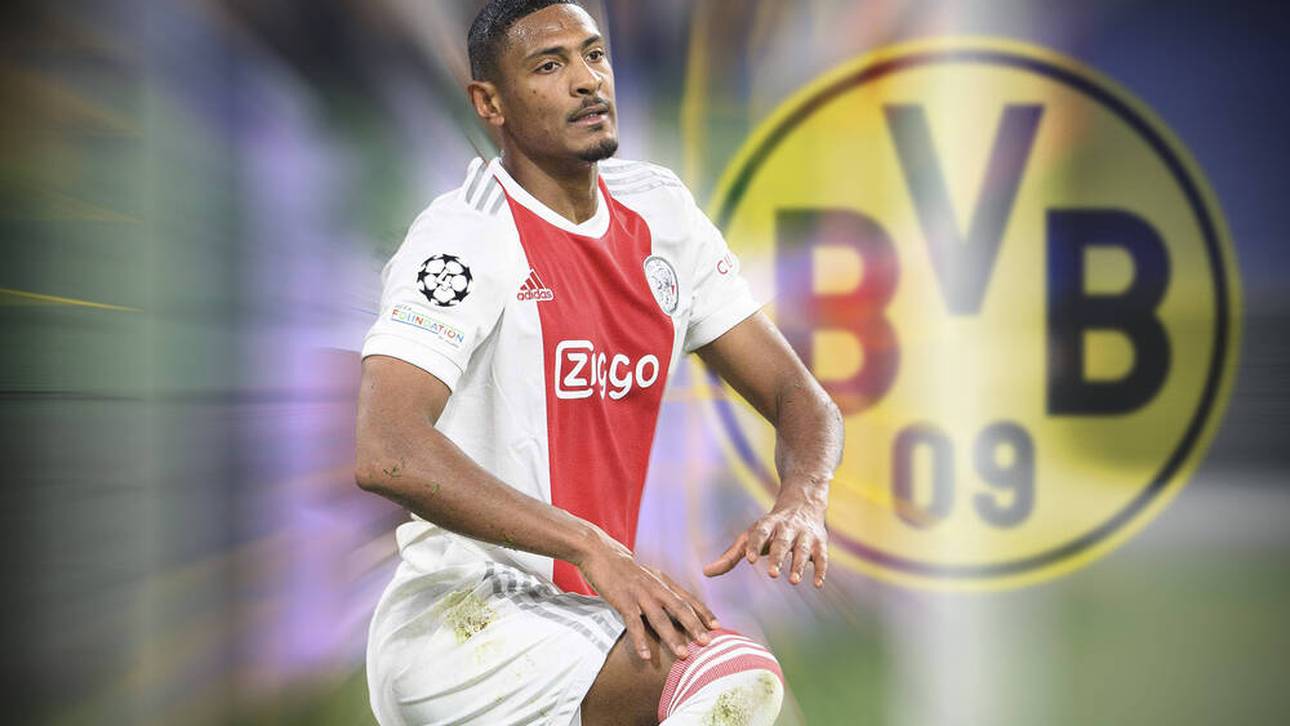 Die Haller-Fakten! So viel verdient er