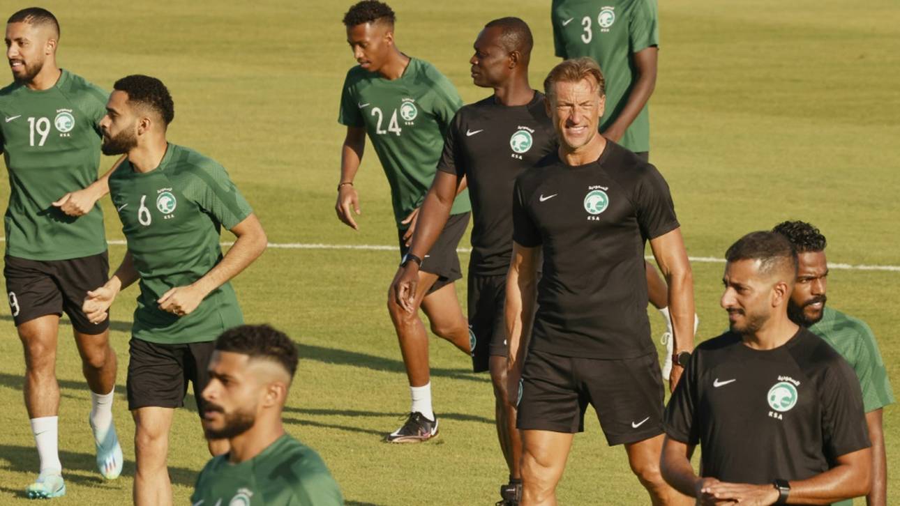 Polen? Grüne Falken selbstbewusst