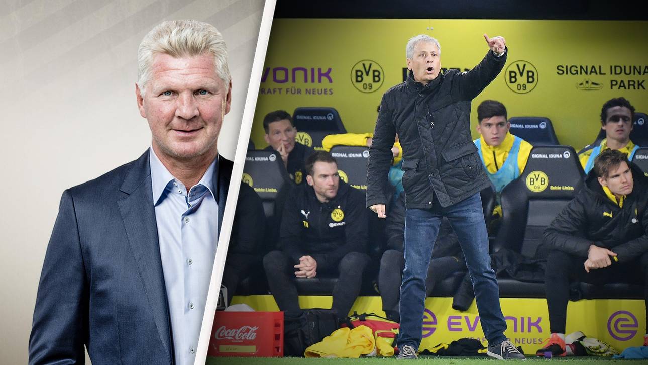 Effenberg: Favre-Debatte lächerlich