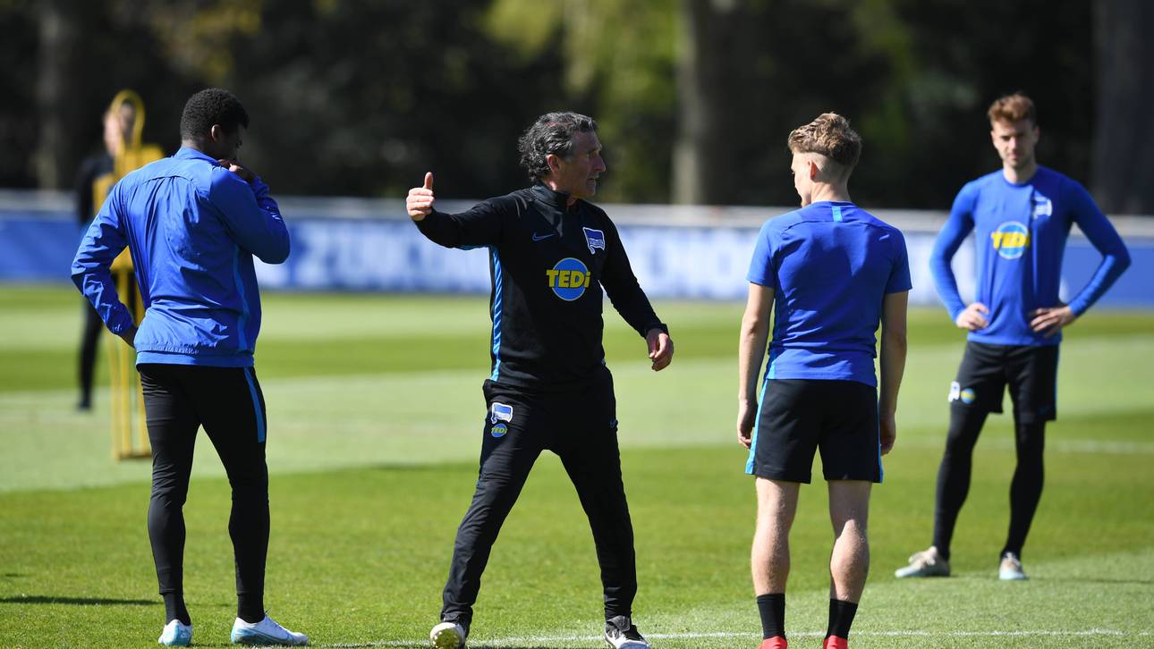 Hertha steigt ins Team-Training ein