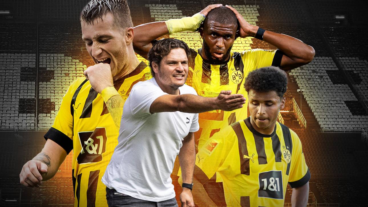 Diese Probleme muss Terzic lösen