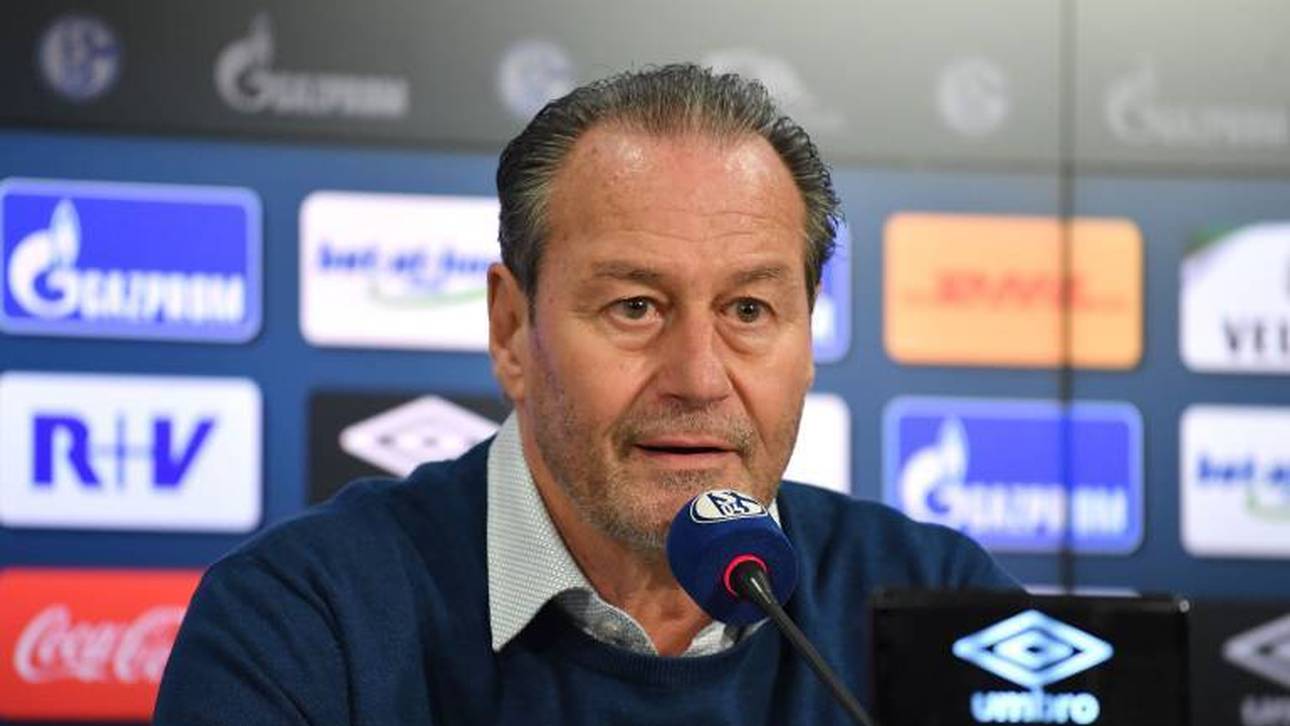 So will Stevens S04 wieder aufbauen