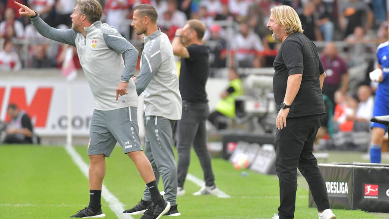 VfB-Chef: „Hör auf mit dem Scheiß“