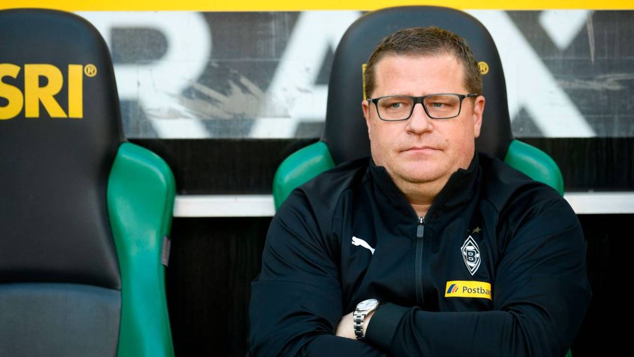 Eberl prangert Fohlen-Einstellung an