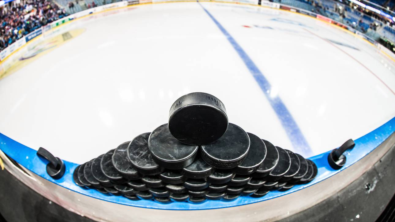 Fischtown Pinguins hoffen auf DEL-Lizenz