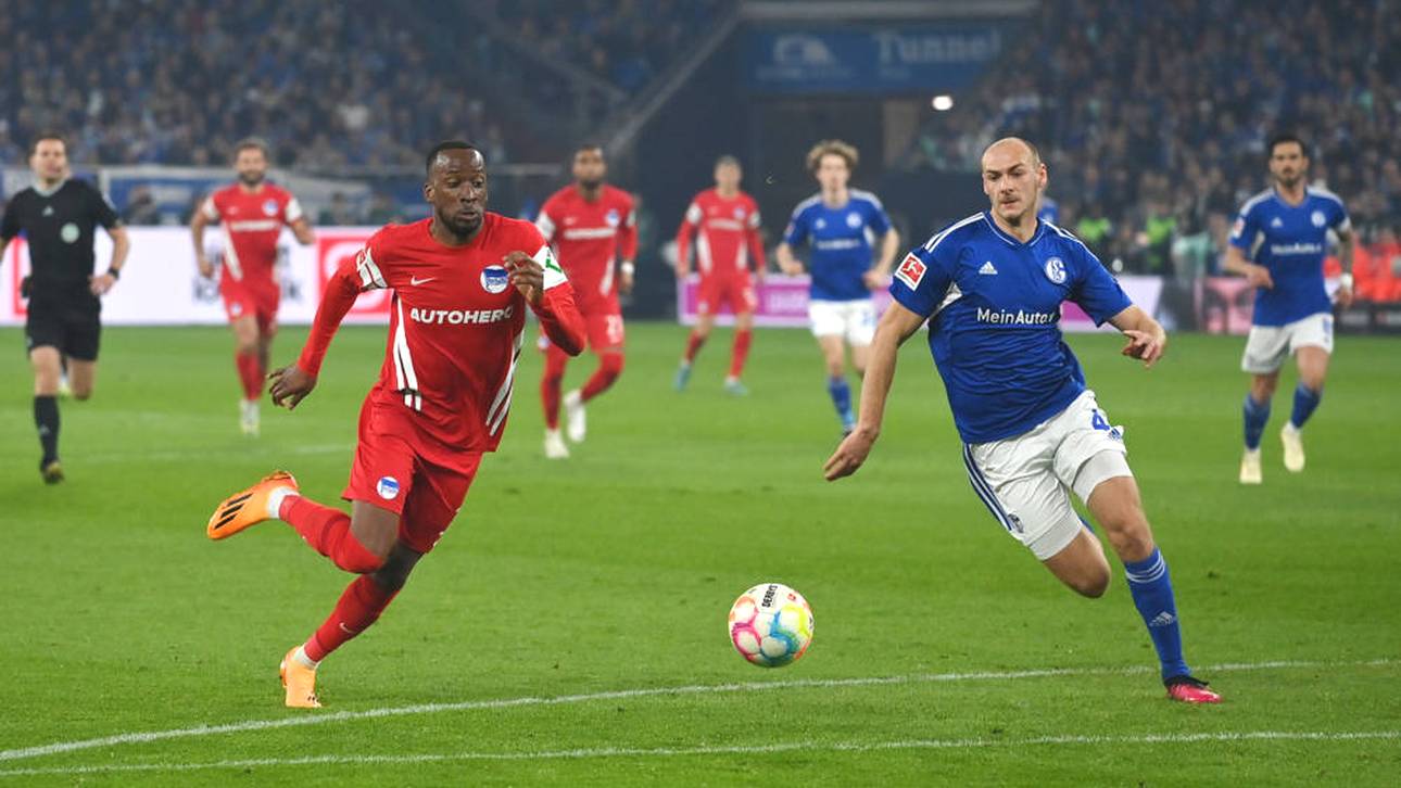 Wiederaufstieg? Das meinen die Fans