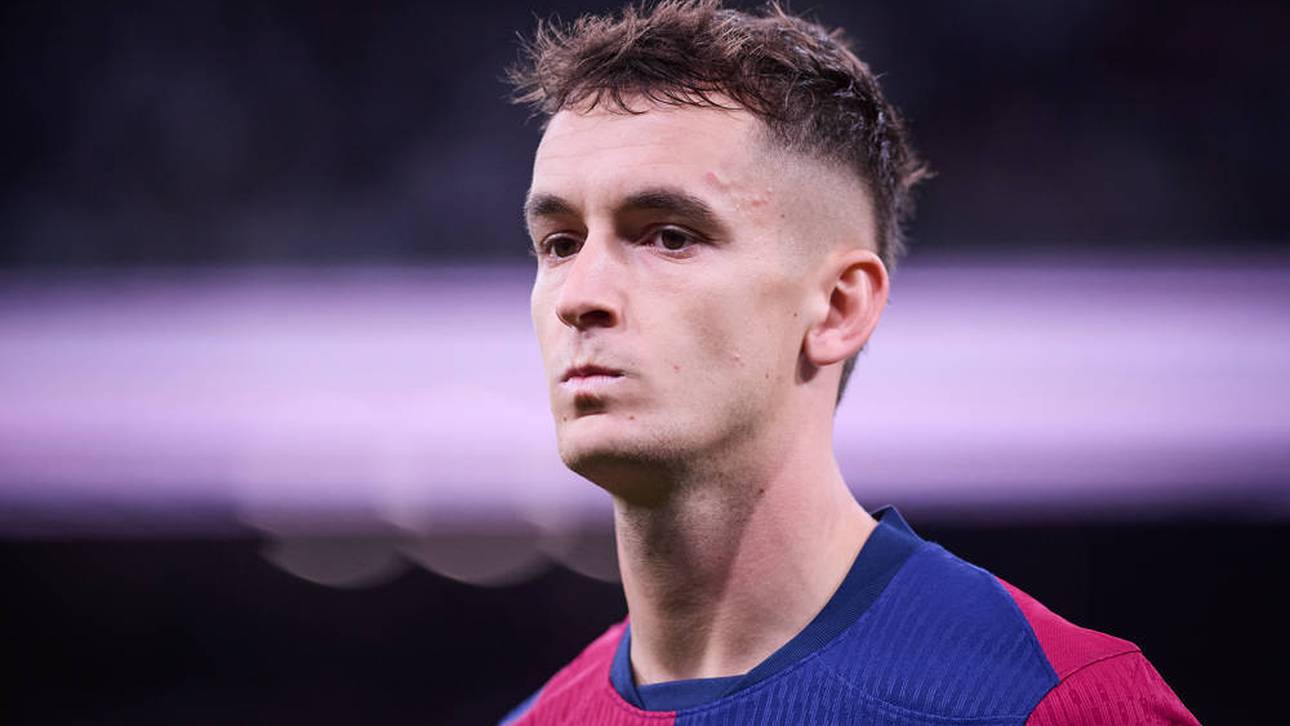 Sie nennen ihn Pitbull