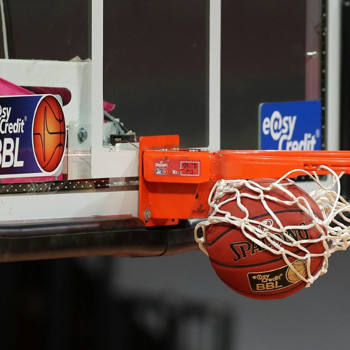 Basketball-Bundesligist Hamburg Towers verstärkt sich für ein Jahr mit Guard-Talent Ziga Samar.
