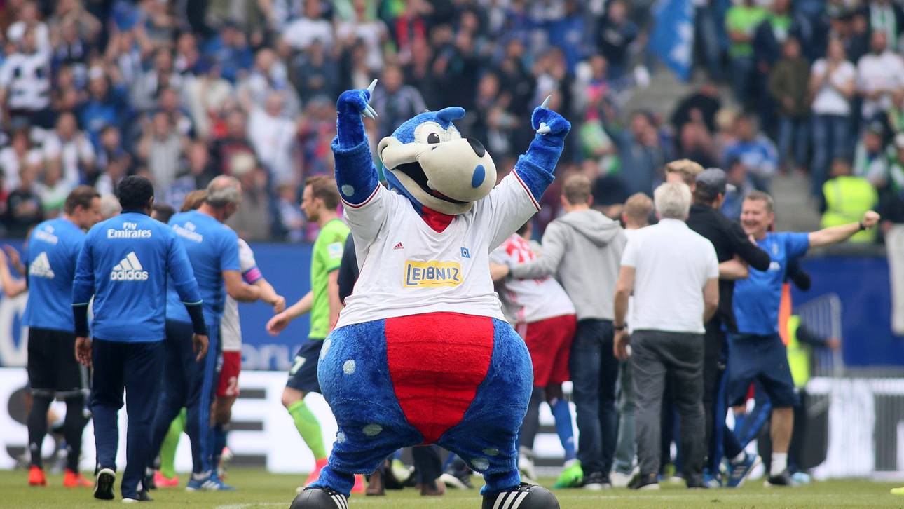 HSV sucht Maskottchen-Darsteller