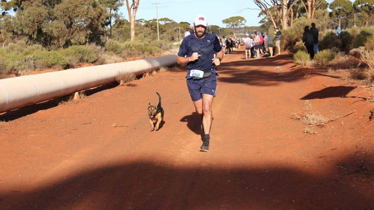 Hund läuft bei Halbmarathon mit