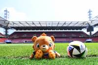 In vista dell'imminente Campionato Europeo, la UEFA è minacciata da una lite a causa della sua mascotte Albert.  Il focus è sul marchio.