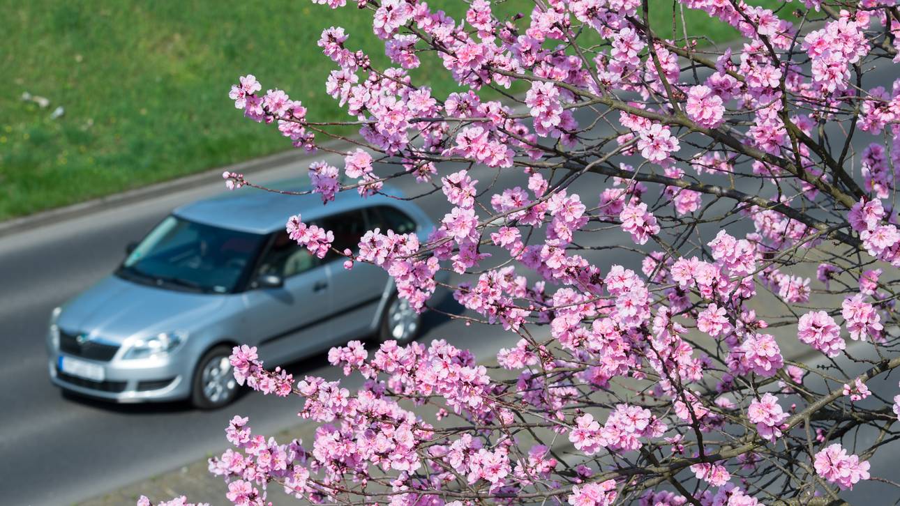 So wird das Auto fit für den Frühling