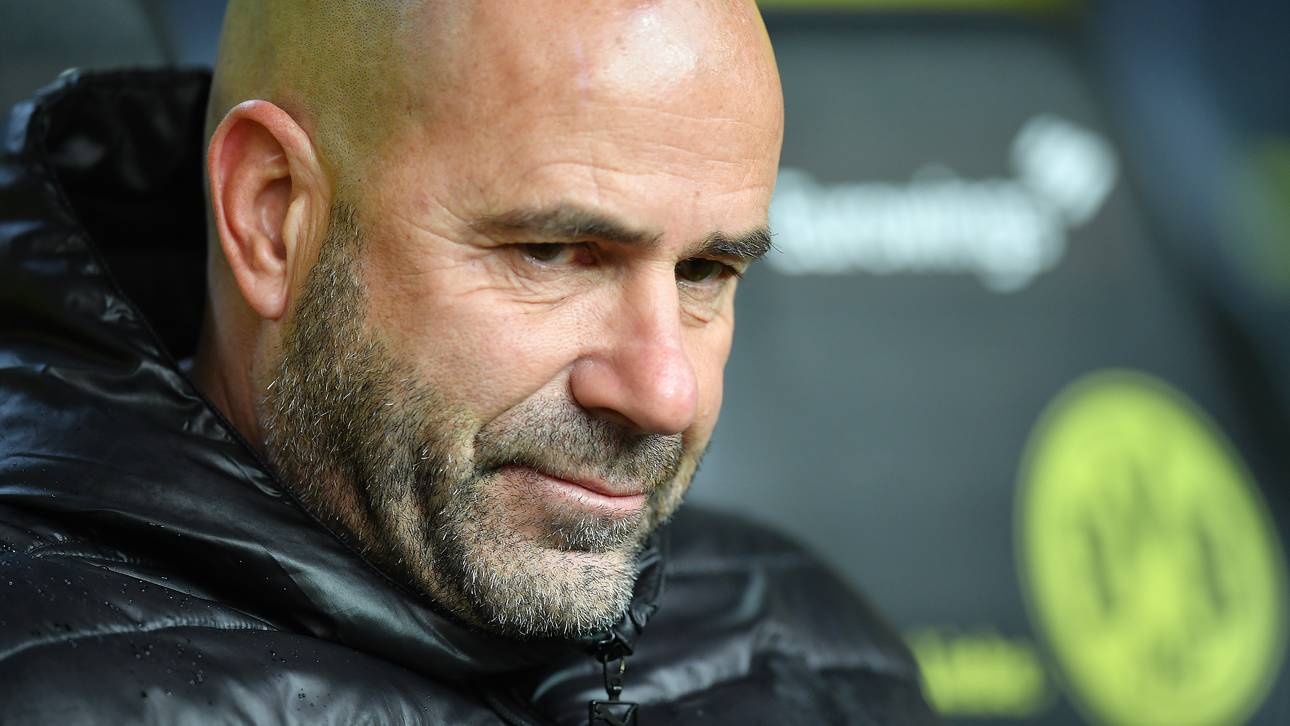 BVB feuert Bosz – Stöger übernimmt