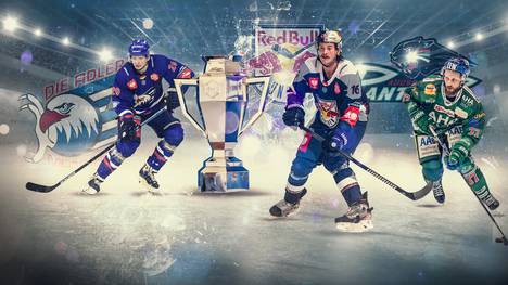 In der Champions Hockey League stehen die  DEL-Vertreter Adler Mannheim, EHC Red Bull München und Augsburger Panther vor der K.o.-Runde