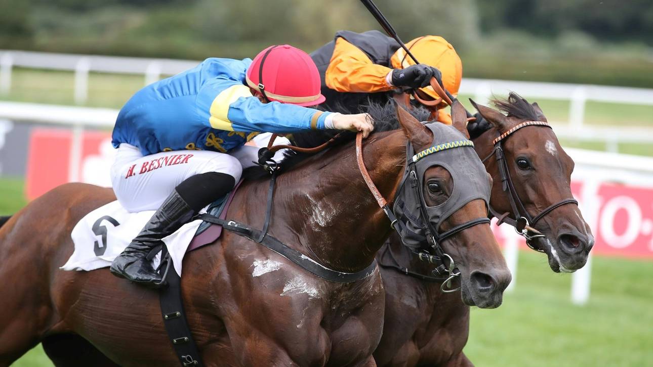 Zerostress gewinnt Goldene Peitsche