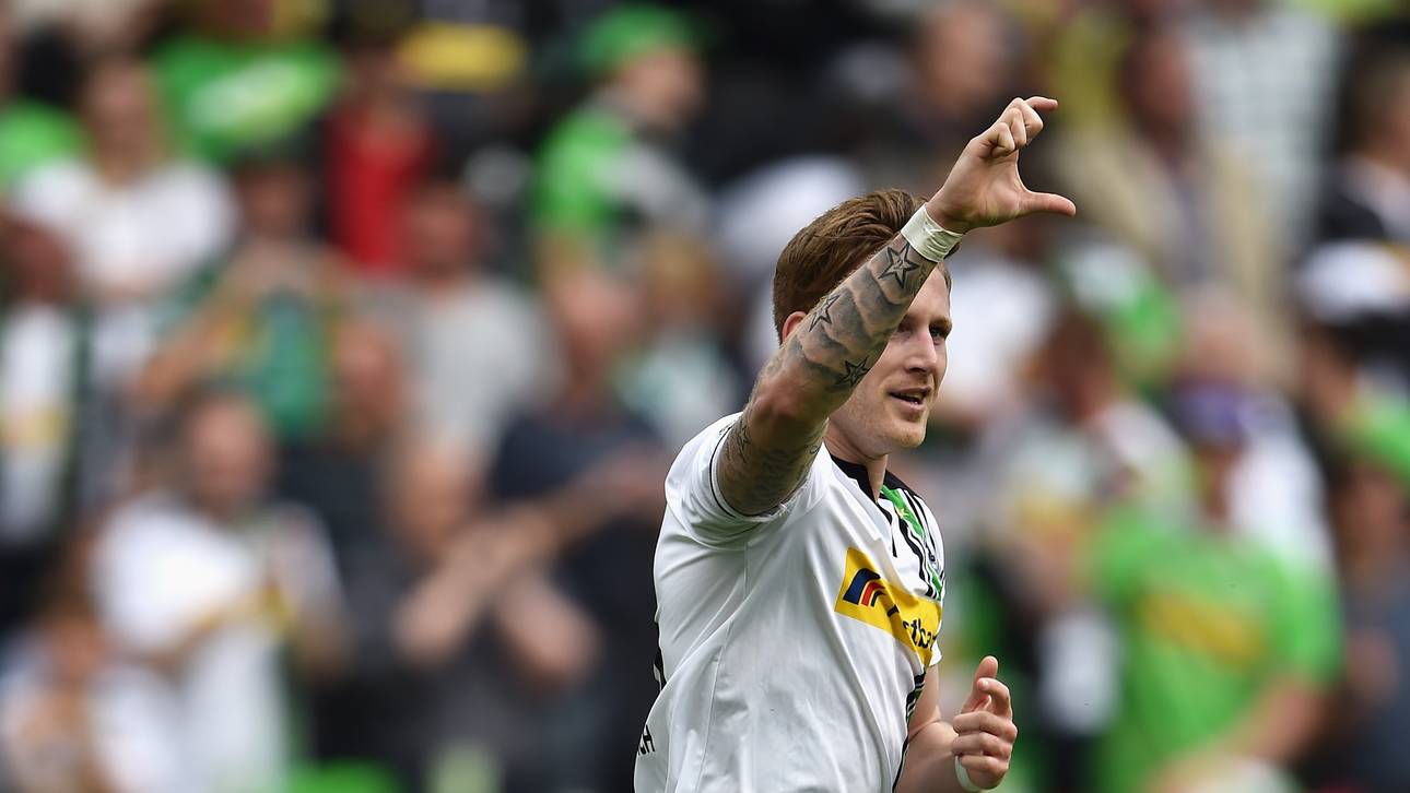 Fohlen mit Volldampf Richtung Königsklasse