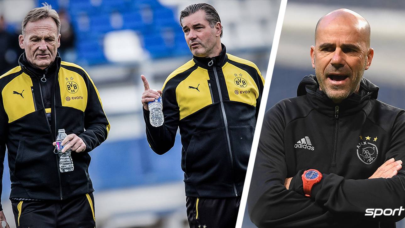 BVB-Baustellen en masse – aber Bosz im Anflug