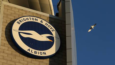 Brighton and Hove Albion spielt in der zweiten englischen Liga
