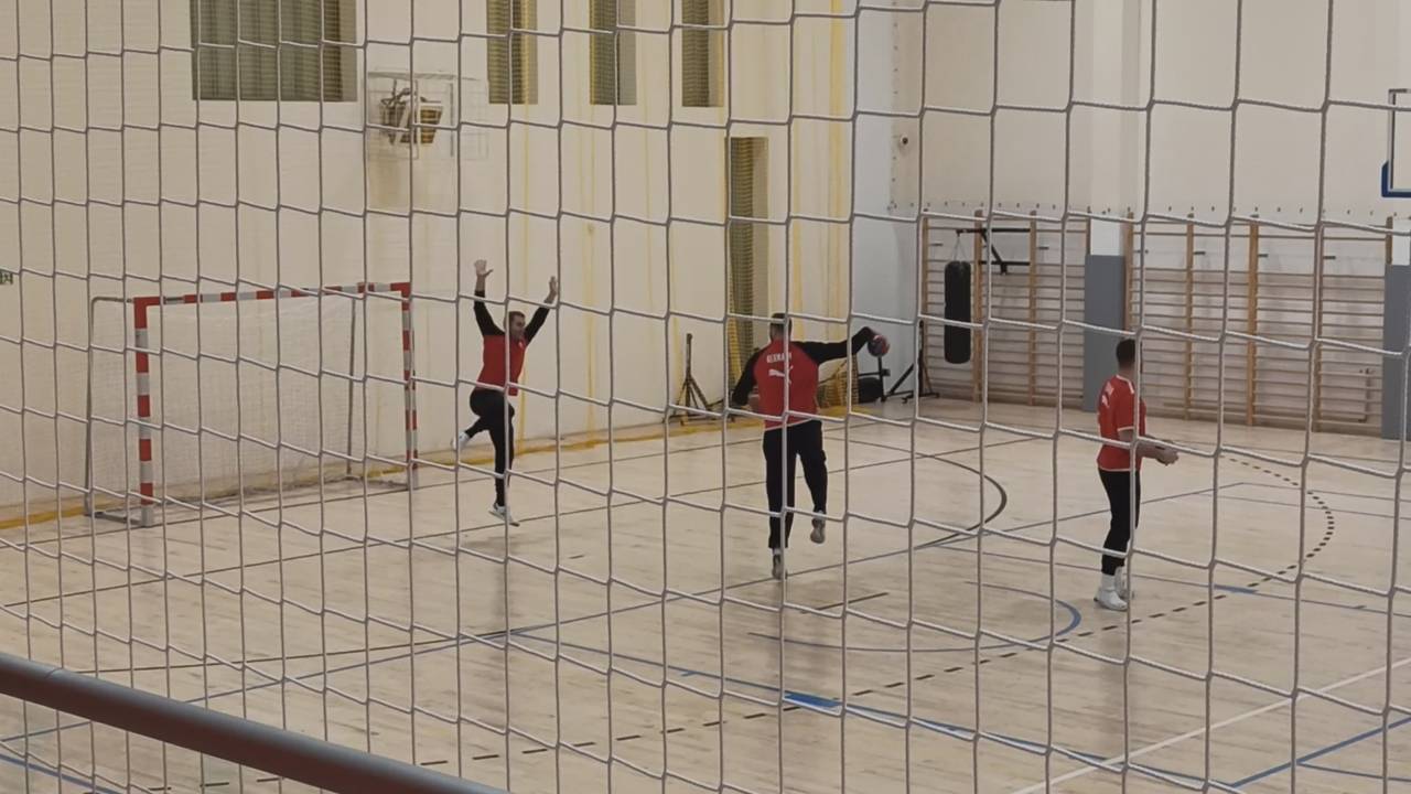 Plötzlich Handball-Nation
