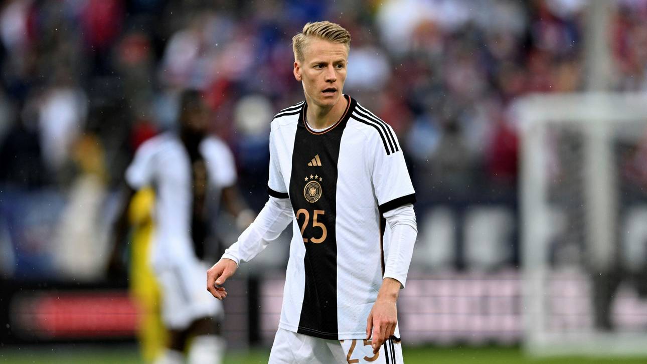 So erlebt Führich seinen Höhenflug